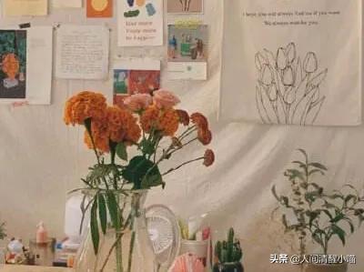 那些三观不正，但是让人感到很舒服的话