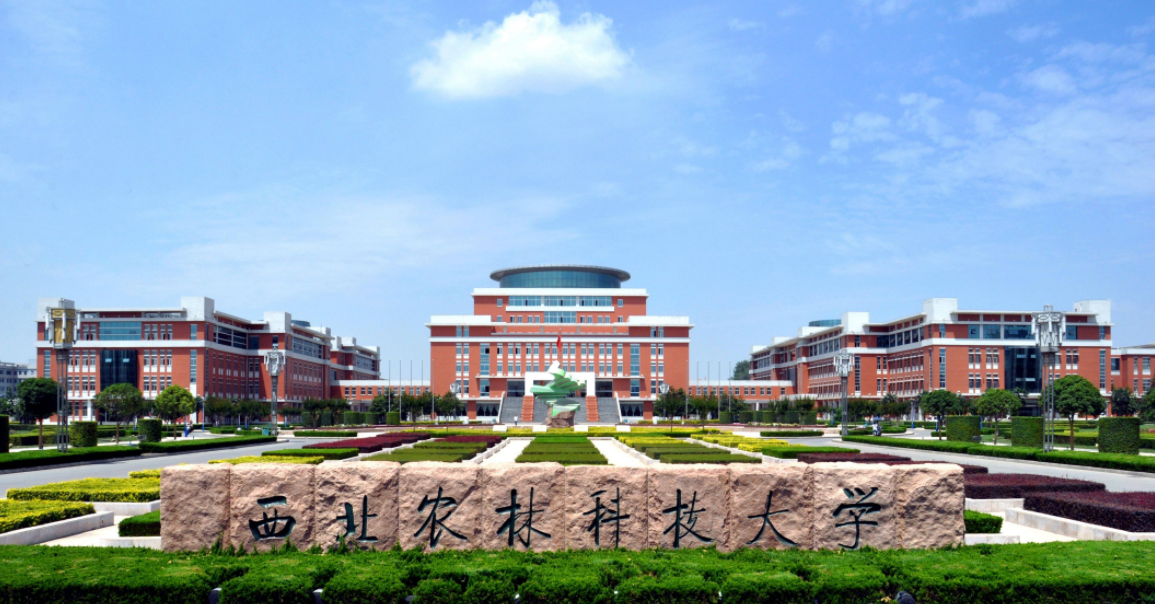 陕西高校金字塔重新“洗牌”，西交大稳居第一梯队，陕科大成黑马