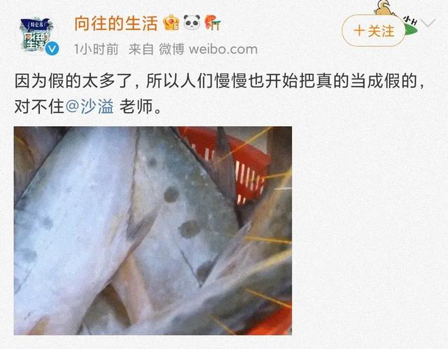 《向往的生活》又惹争议，网友质疑使用道具鱼，节目组发文否认