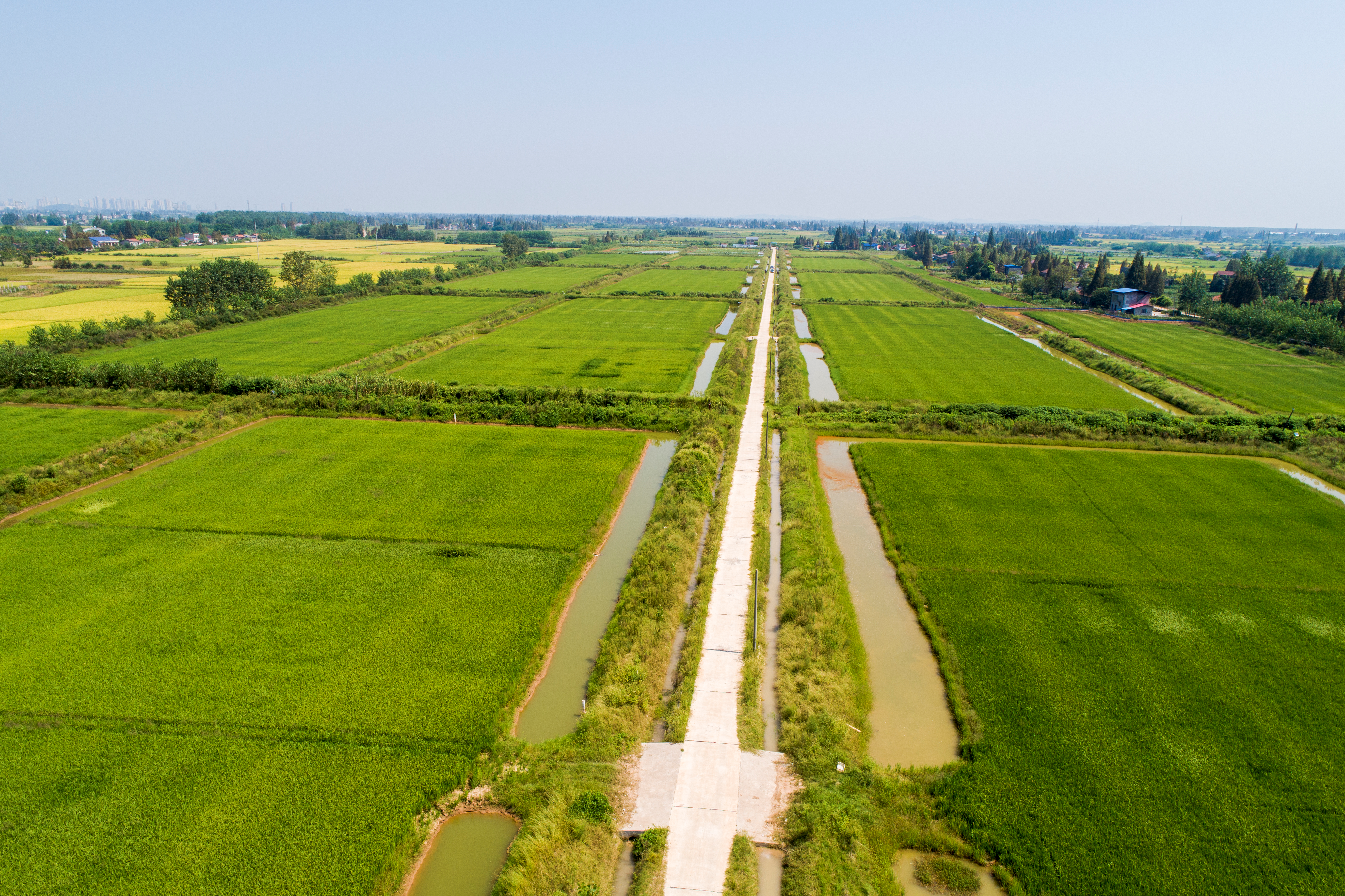岳阳市粮食行业协会完成换届选举
