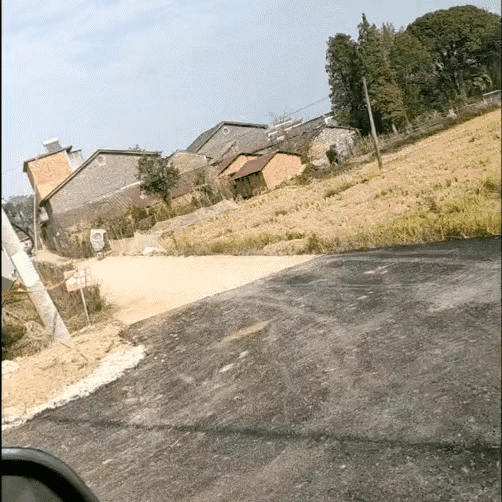 女朋友出差了，说去了上海出差，还给我发来了一张这样的照片