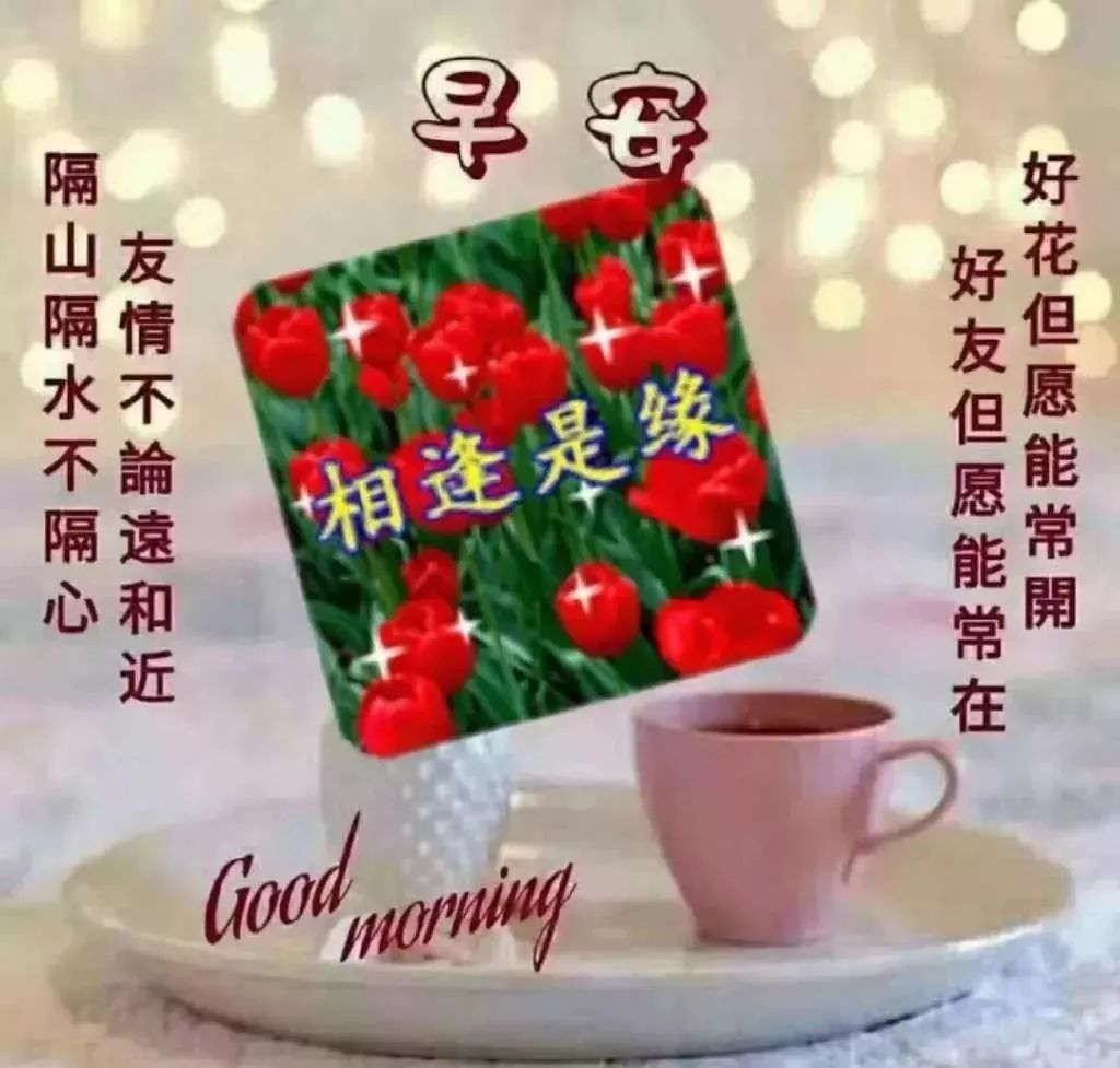 小满清早阳光问候早上好句子 早上好图片 祝你幸福吉祥 快乐安康图片