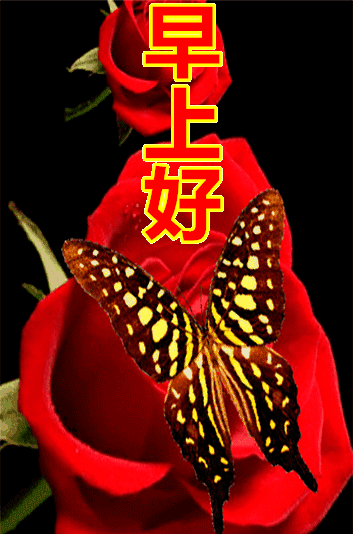 早上好最暖的问候语，平安健康是最真的祝福，懂得知足就会幸福图片