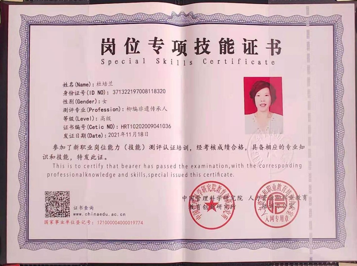 奋斗百年路 启航新征程——中国艺术传承人物杜培兰