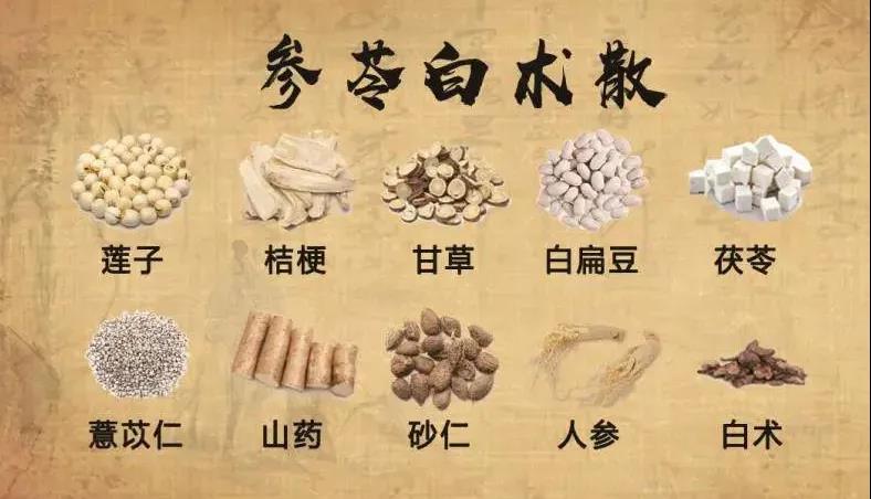 脾胃虛弱，濕氣重肚子大，嘔吐腹瀉，可用古方參苓白朮散