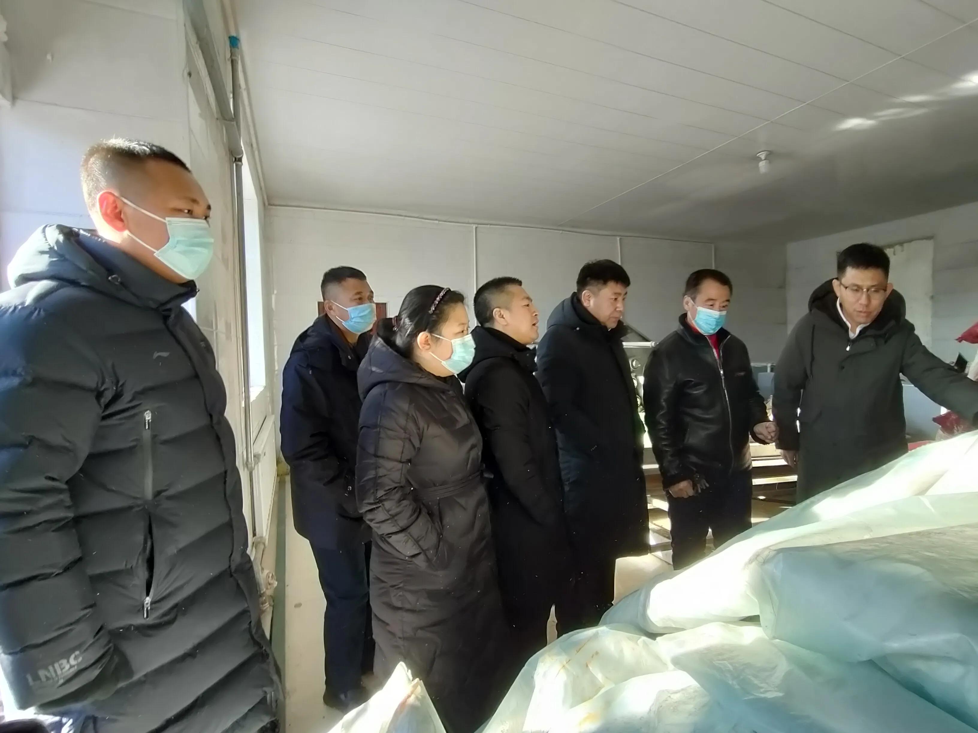 饶河县委副书记张成亮带队深入宝清县夹信子镇调研产业项目