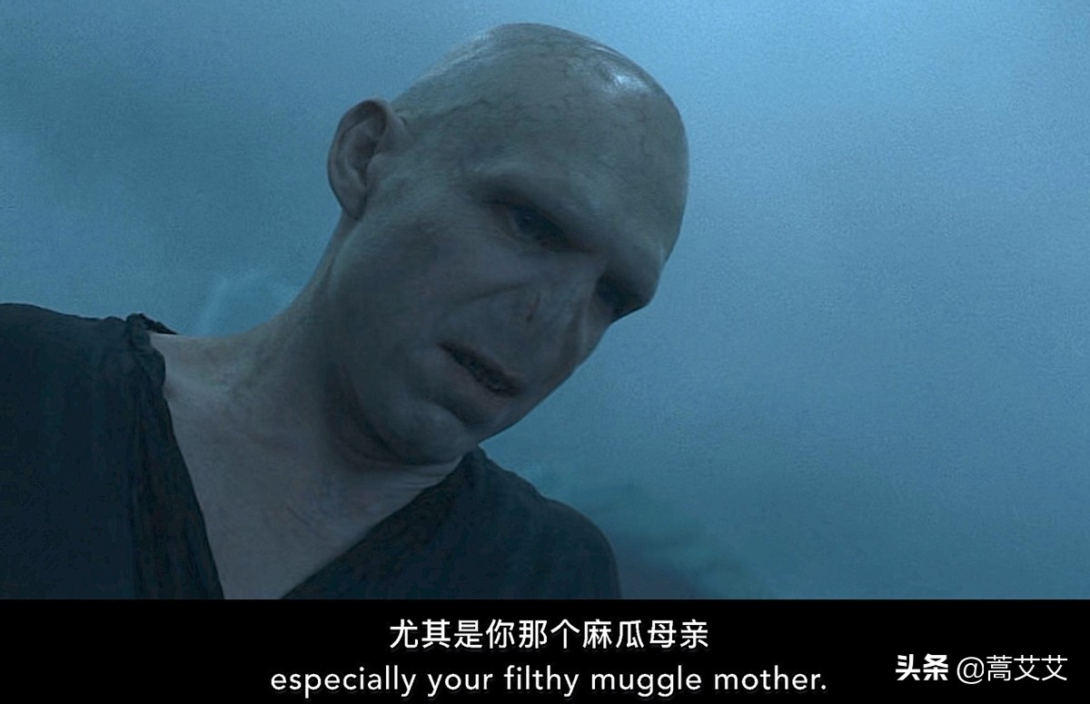 巫师世界应该被隐藏还是揭露？《国际巫师保密法》意义何在？