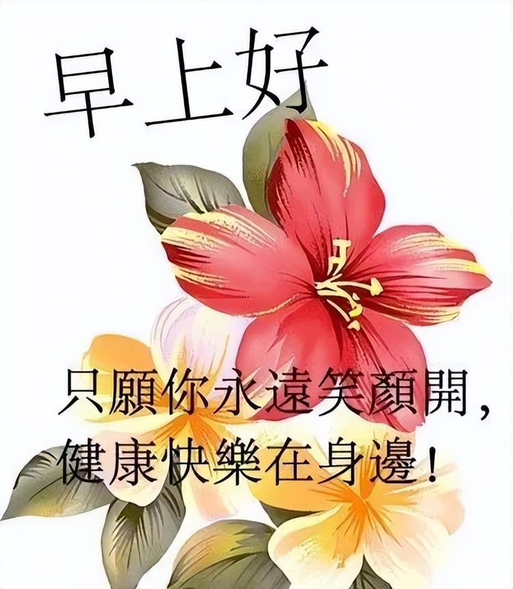 今日更新早上好表情包 早安问候祝福语句子，早安一生愿你好图片