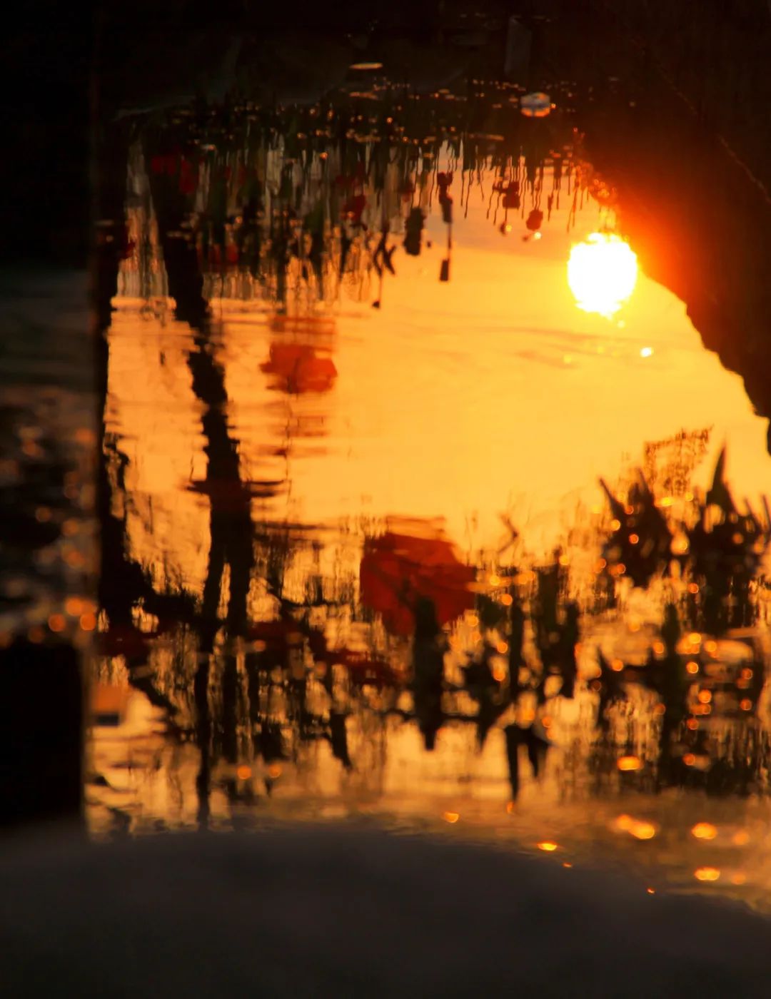 四川天府新区世界环境日寄语：童话中国 我们一同守护