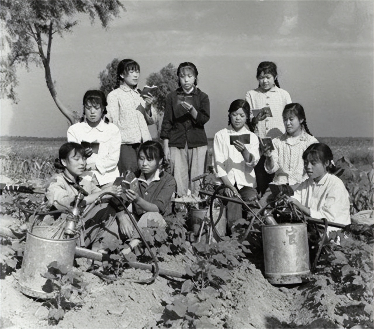 1972年，17岁长沙女知青赴湘西农村插队，5年后回城是俩孩子的妈