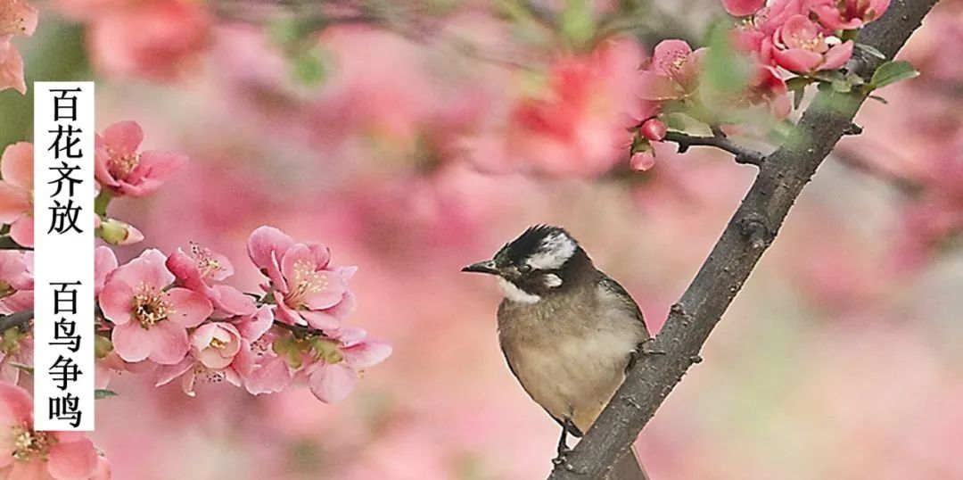 有名刑事律师（如何请到合适的刑事律师）