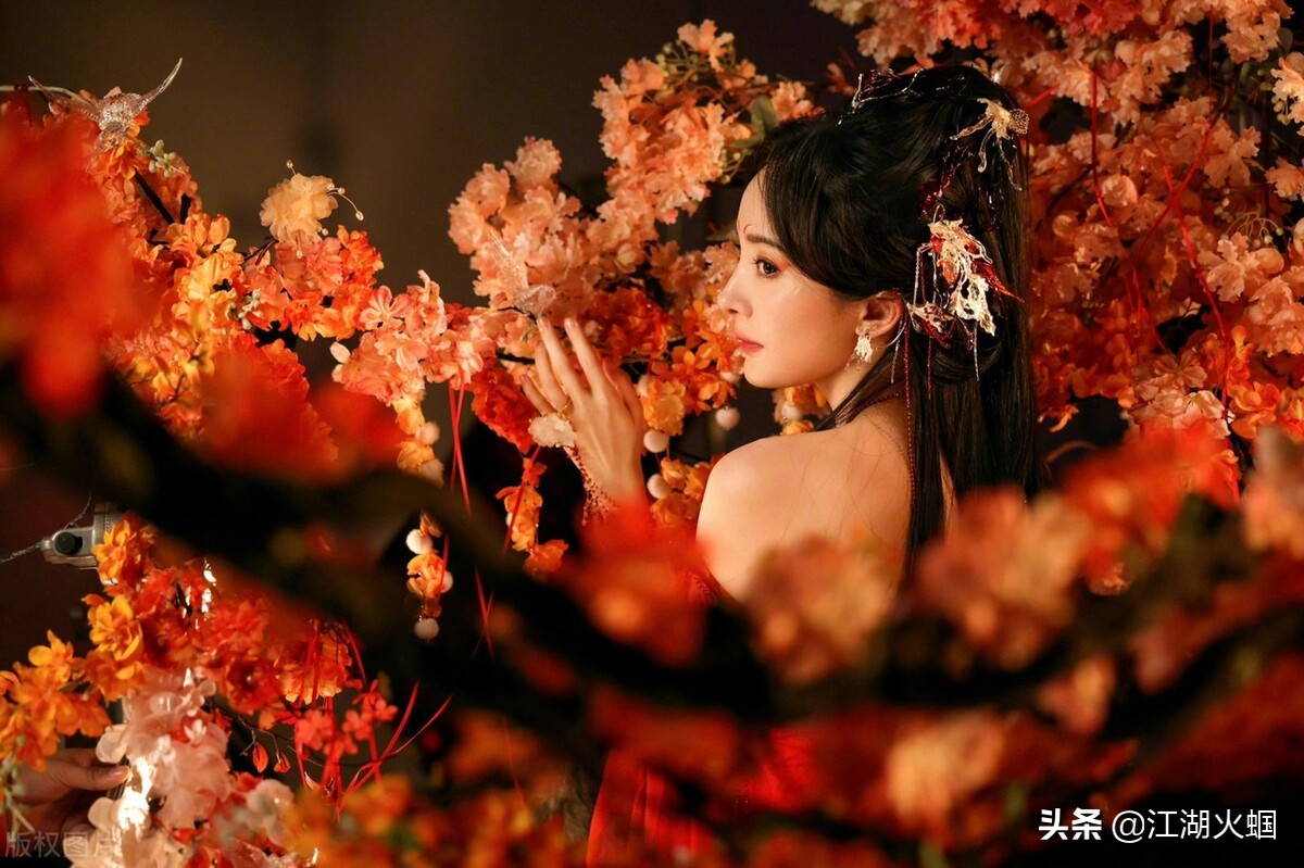 八卦：刘诗诗 谢霆锋 殷桃 杨幂 谭松韵 刘德华 黄渤 陈伟霆 虞书欣 胡一天