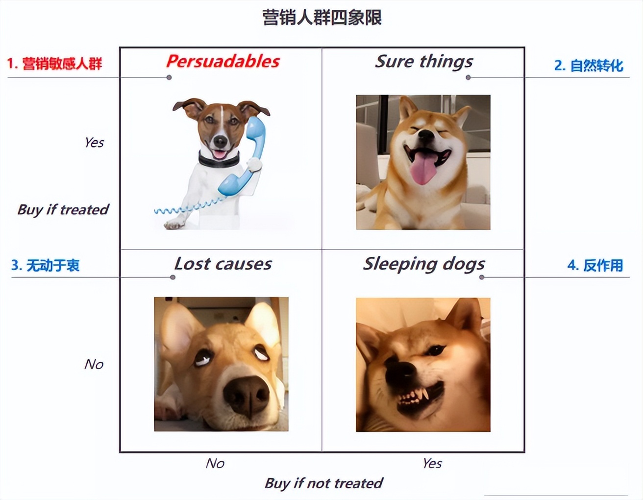 TI类数据产品设计