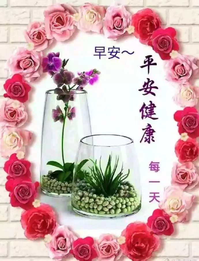 清晨早上好鲜花祝福图片 朋友圈早上鲜花问候语 恭祝人顺家顺百业顺图片
