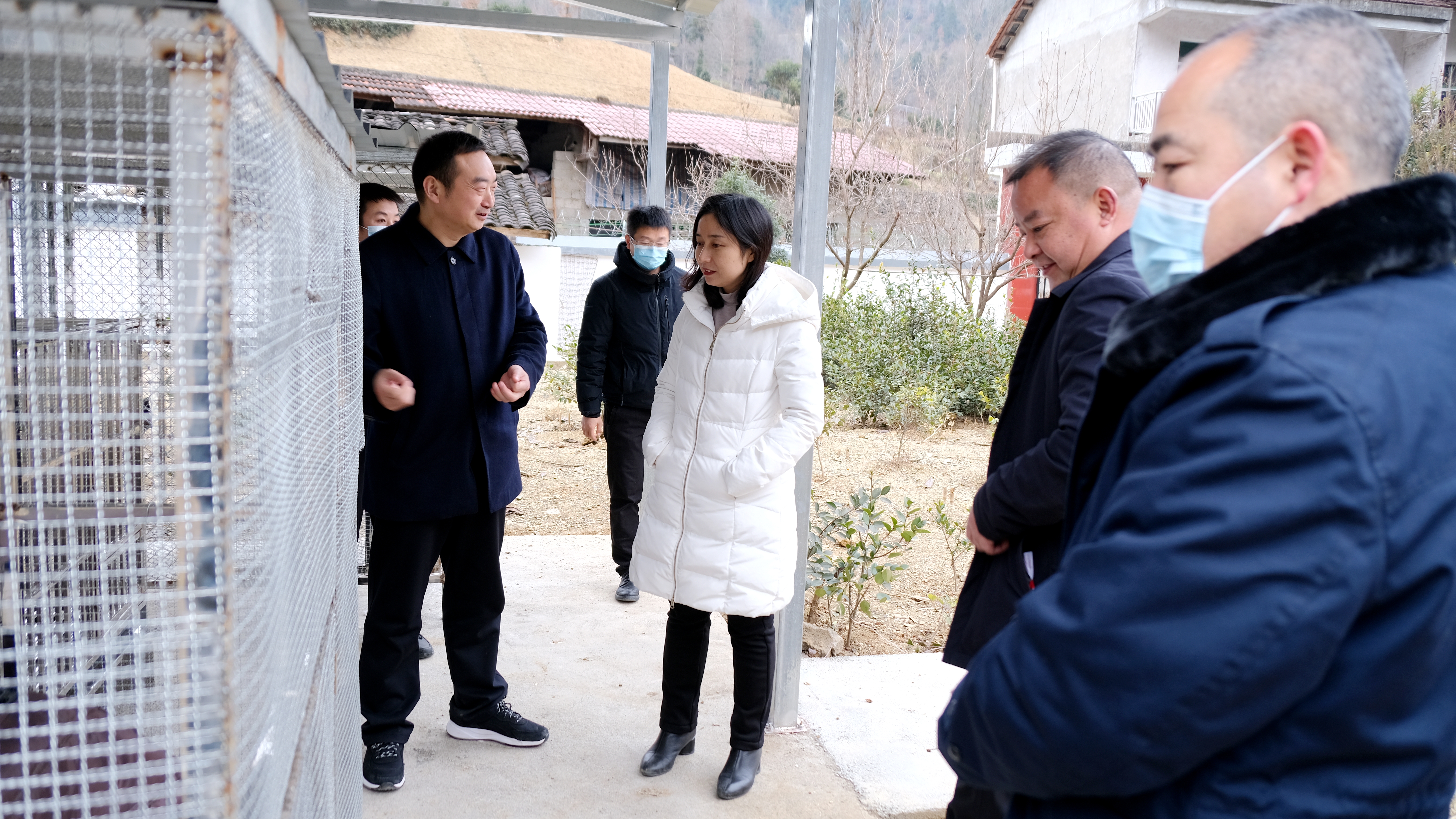 镇巴县委副书记张海燕到镇（办）检查指导当前林业重点工作