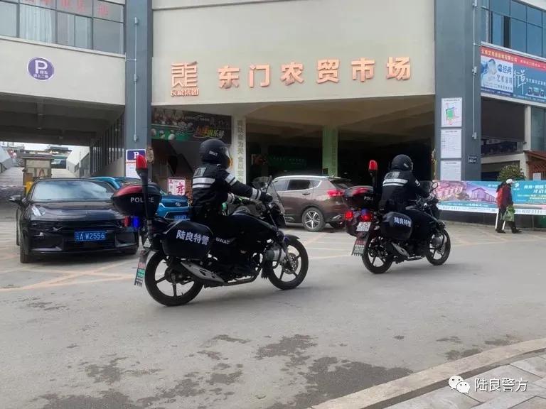 云南曲靖:陆良公安骑警“新名片”正式亮相