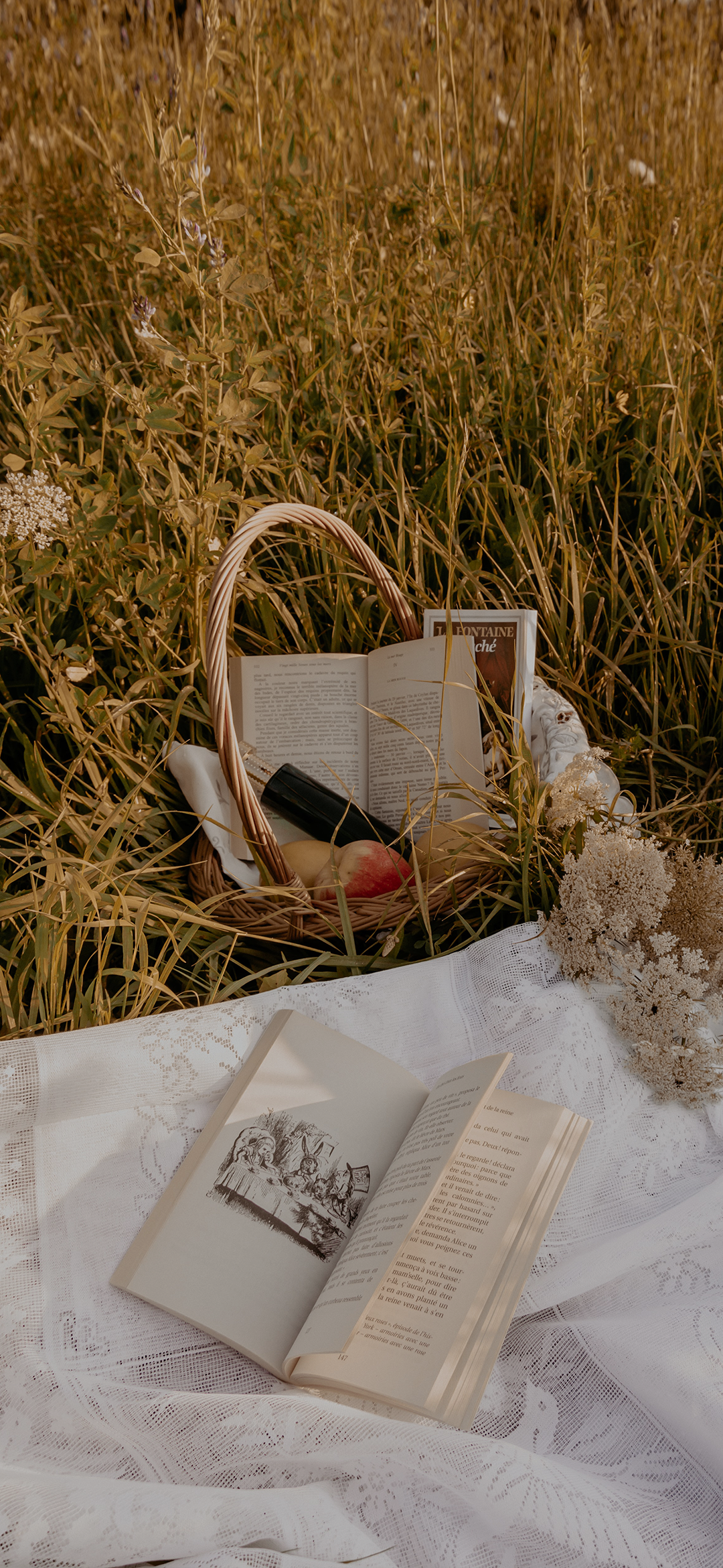 关于读书|清雅文艺风壁纸