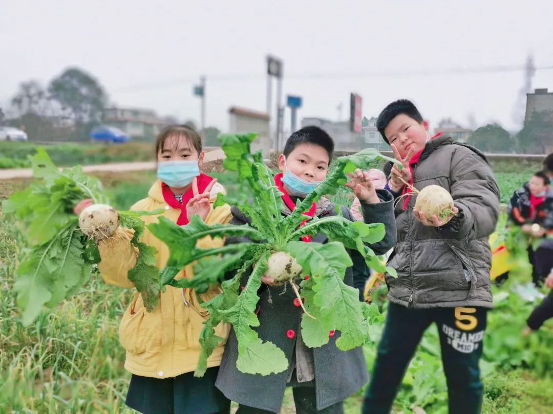 「城南小学•德育工作」小基地大收获 劳动实践快乐多