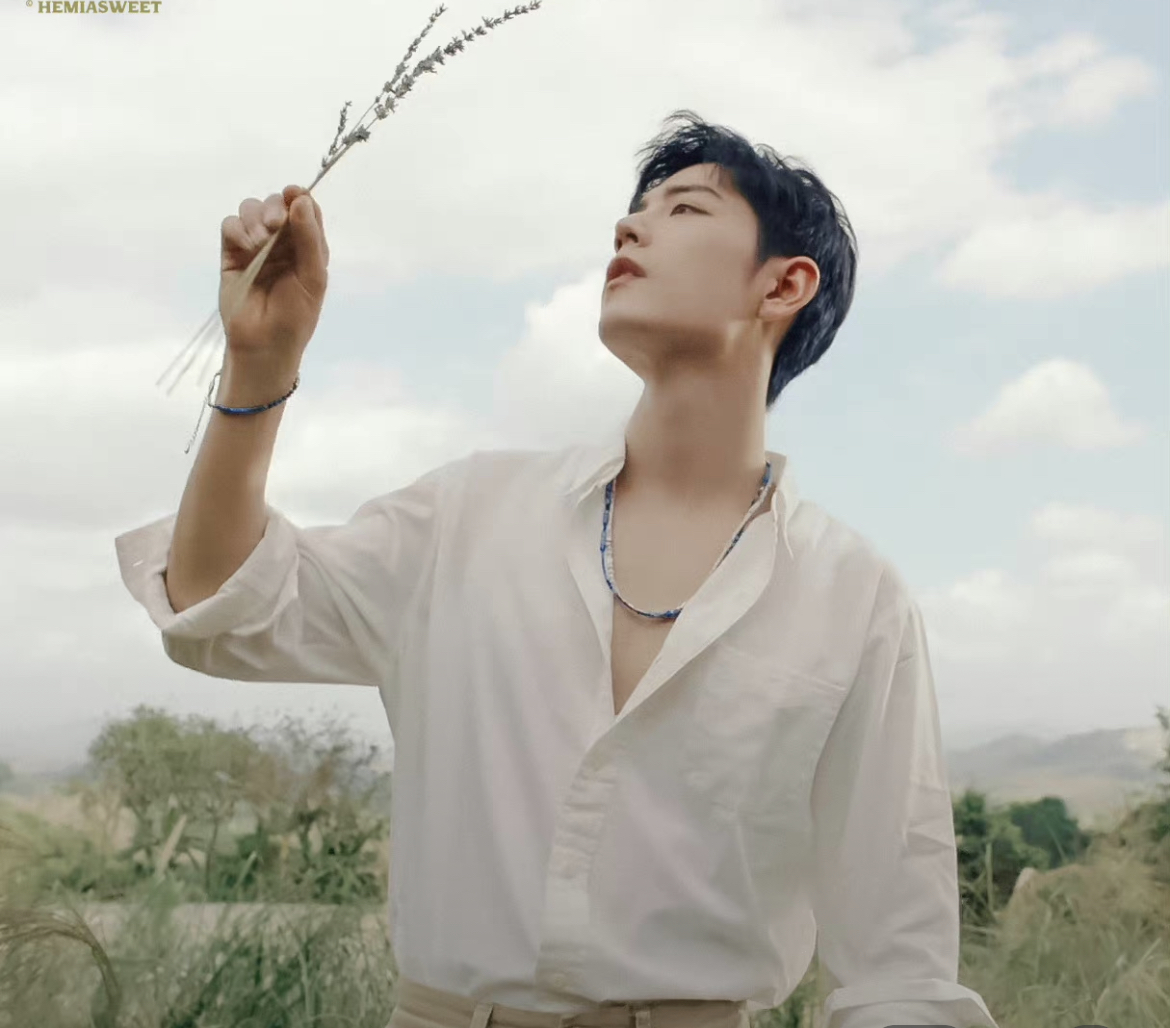 肖战《Faded》《恼人的秋风》海外播放量均破千万,文化输出优秀