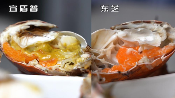 5000元價位微蒸烤一體機大比拼，東芝VS宜盾普，誰的表現更出色？