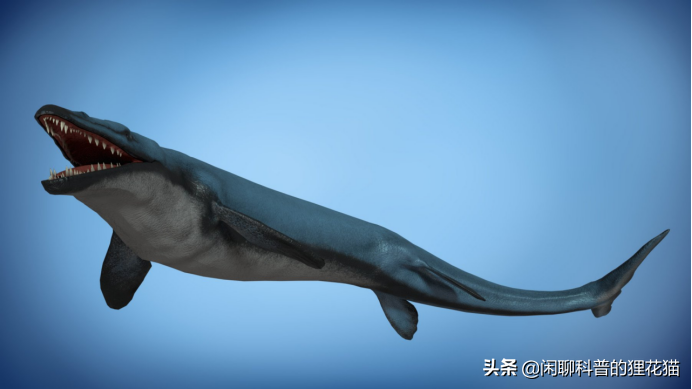 盘点史前海洋十大巨兽，从寒武纪走过始新世，每个时代顶级捕食者