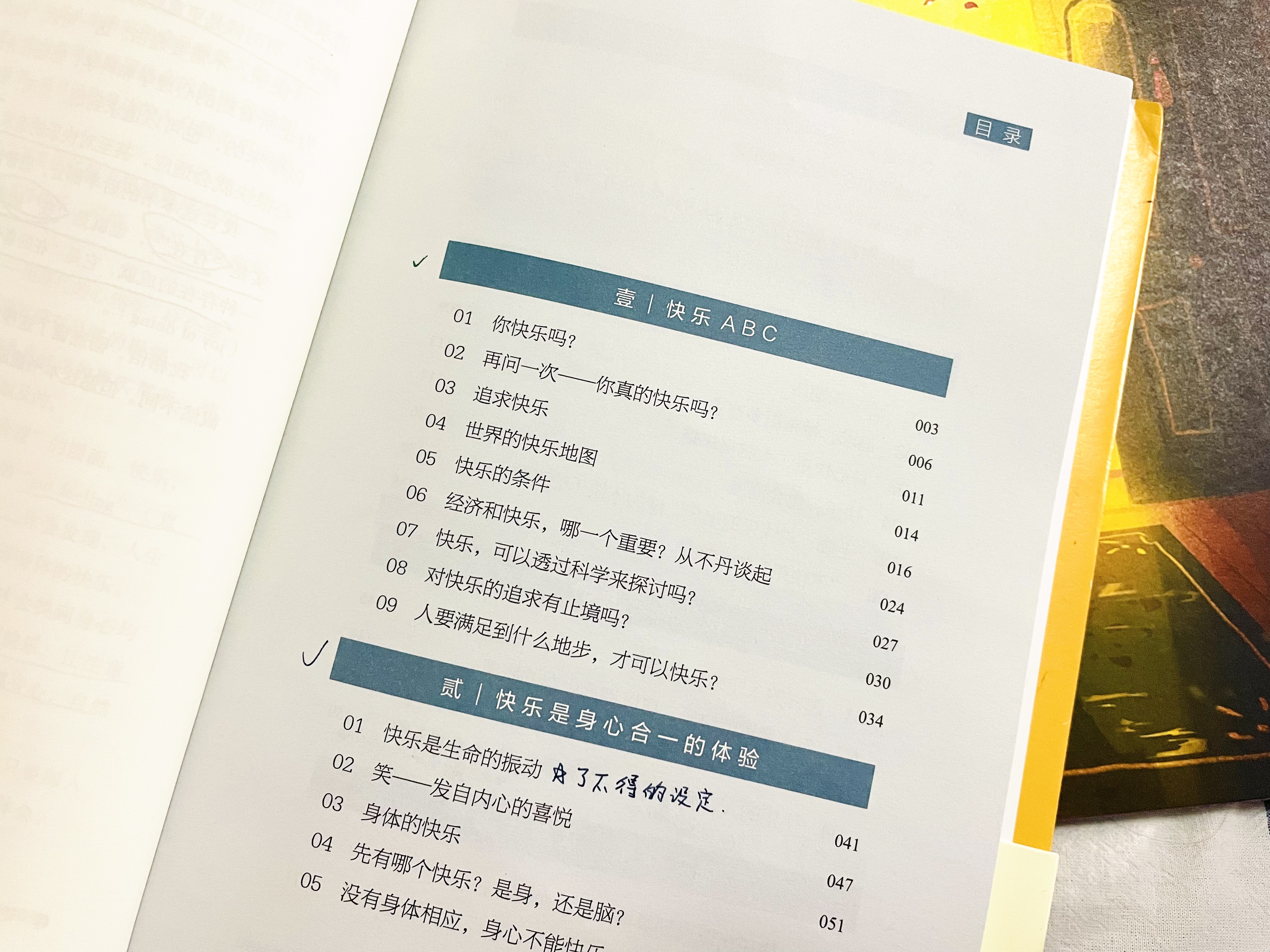 存在的本质，是喜悦：《不合理的快乐》