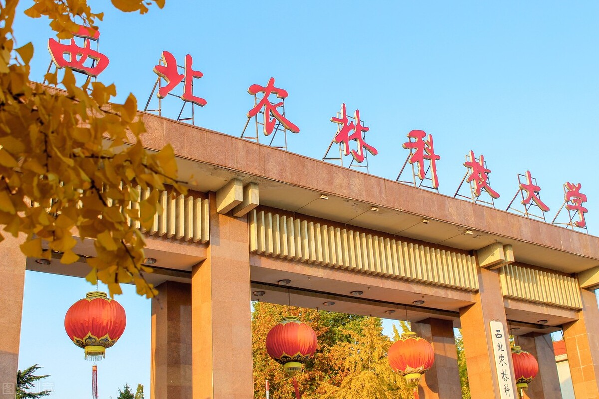 捡漏！26所农林类高校8所双一流，设计类专业实力强录取分数低