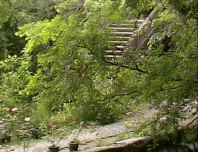 同样是演“宝钗扑蝶”，张莉灵气四溢美如画，李沁木头桩子干扑腾