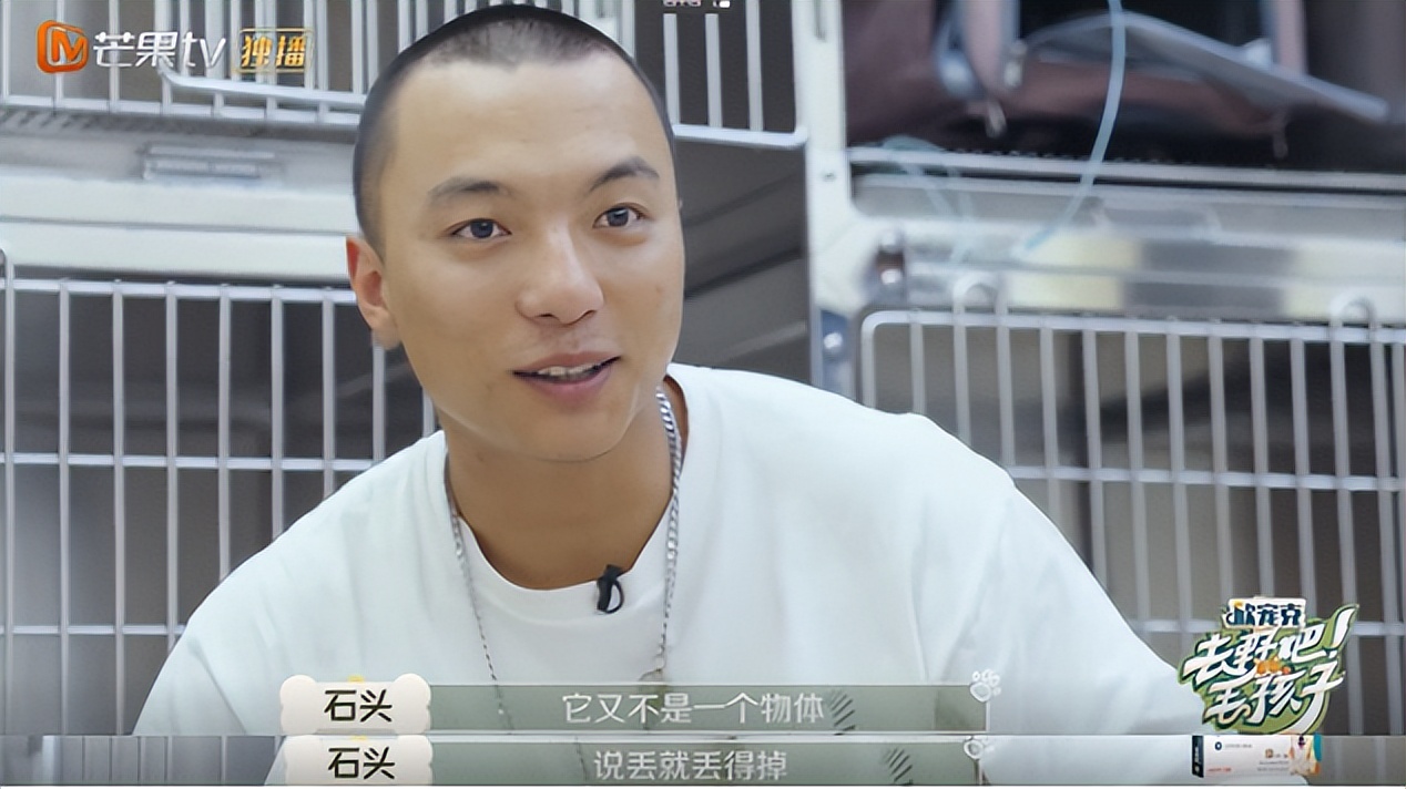 10分钟看哭7次！当他们不再“有用”的时候，却也无法正常生活