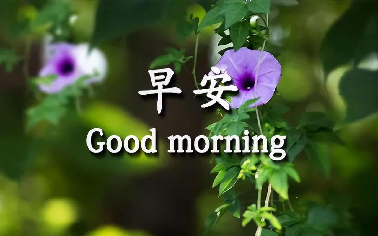 周末清晨祝阳光早上好问候祝福语 祝你幸福 事事都美好图片