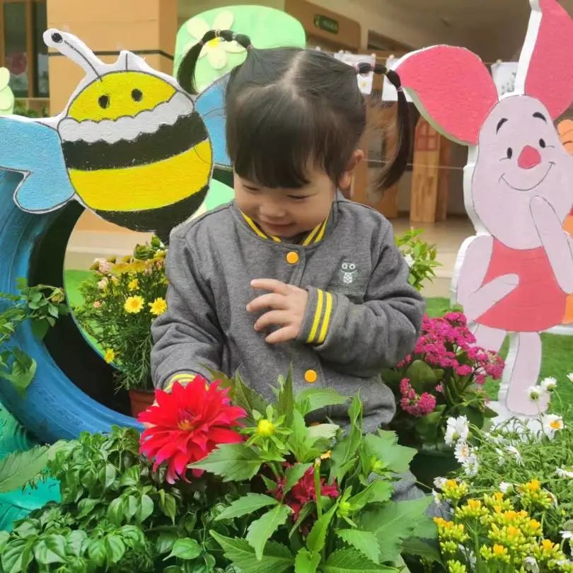 汉服体验、美食大赏、亲近野生动物……这样的春日活动真让人羡慕