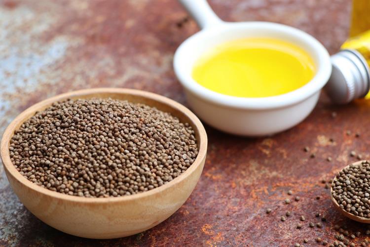 盘点被美国禁止的16种食物，原来这些美食被禁的原因是这个