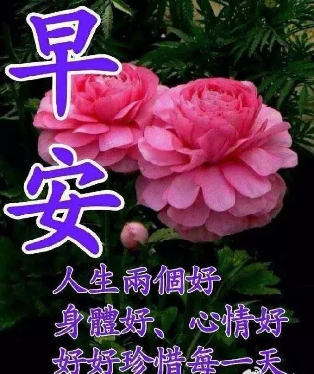 清晨暖心早上好祝福语 感恩相遇，友情来之不易，愿我们平安快乐图片