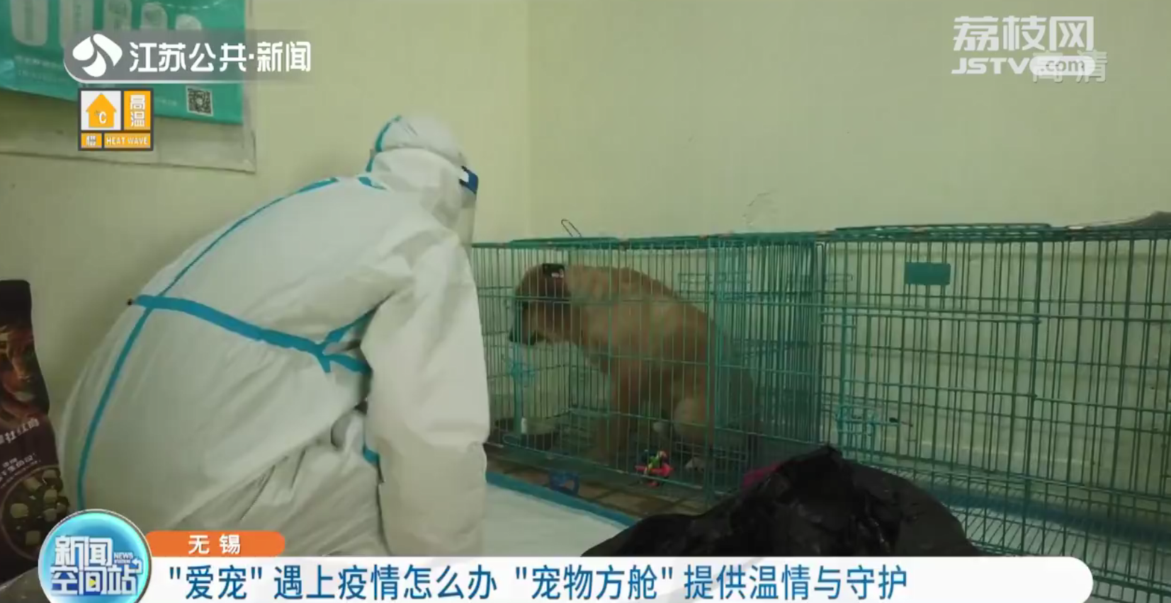 暖心！无锡现&ldquo;宠物方舱&rdquo;专门收容涉疫宠物