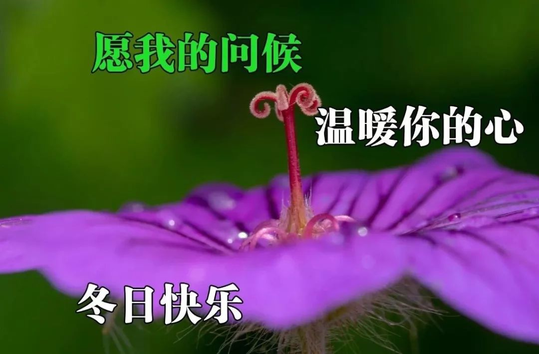 2022早上好祝福动态表情图片，早安愉快，每天都开心图片