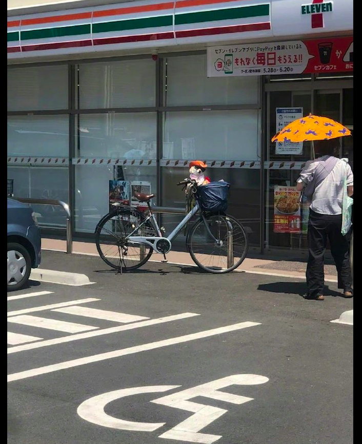 狗狗戴了帽子和墨镜，坐在自行车上非常有大佬风范，高攀不起呀