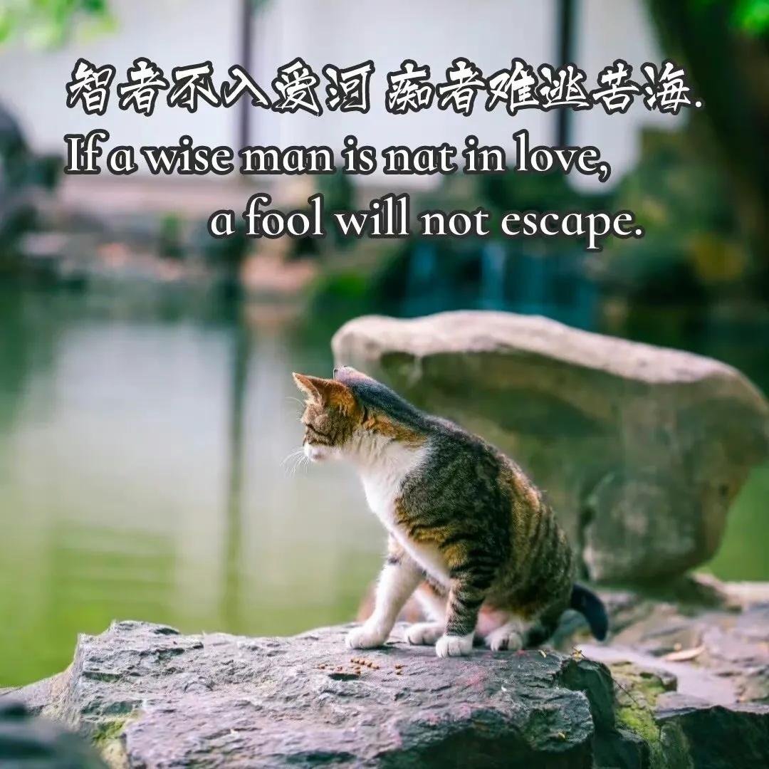 文案｜发朋友圈的文案短句