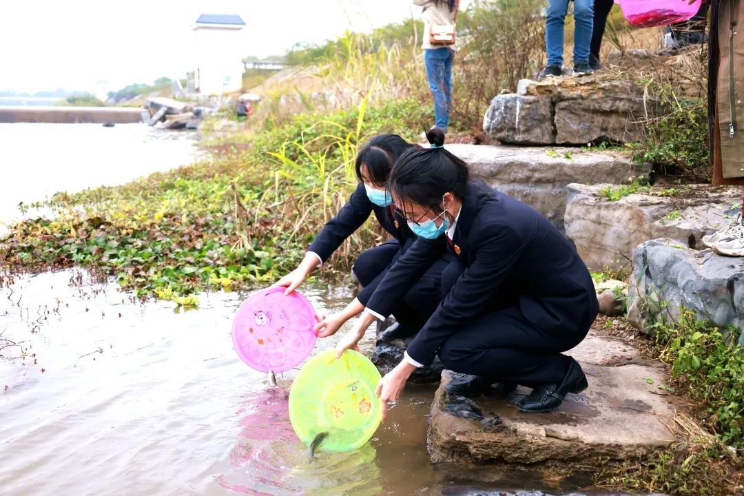 知行合一 落地见效——贯彻落实全市检察长会议精神蒙山县检察院在行动