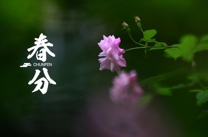 春分 | 春半日暖 昼夜平分，十首春半的诗词，带你览尽美好春光