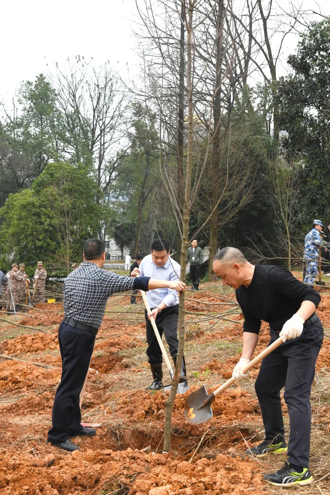创国家森林城市 建怀化绿色家园 黎春秋王建球李万千印宇鹰等参加义务植树活动