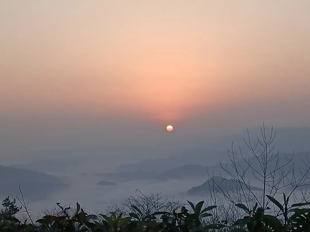 用鲁迅先生的笔风写心境