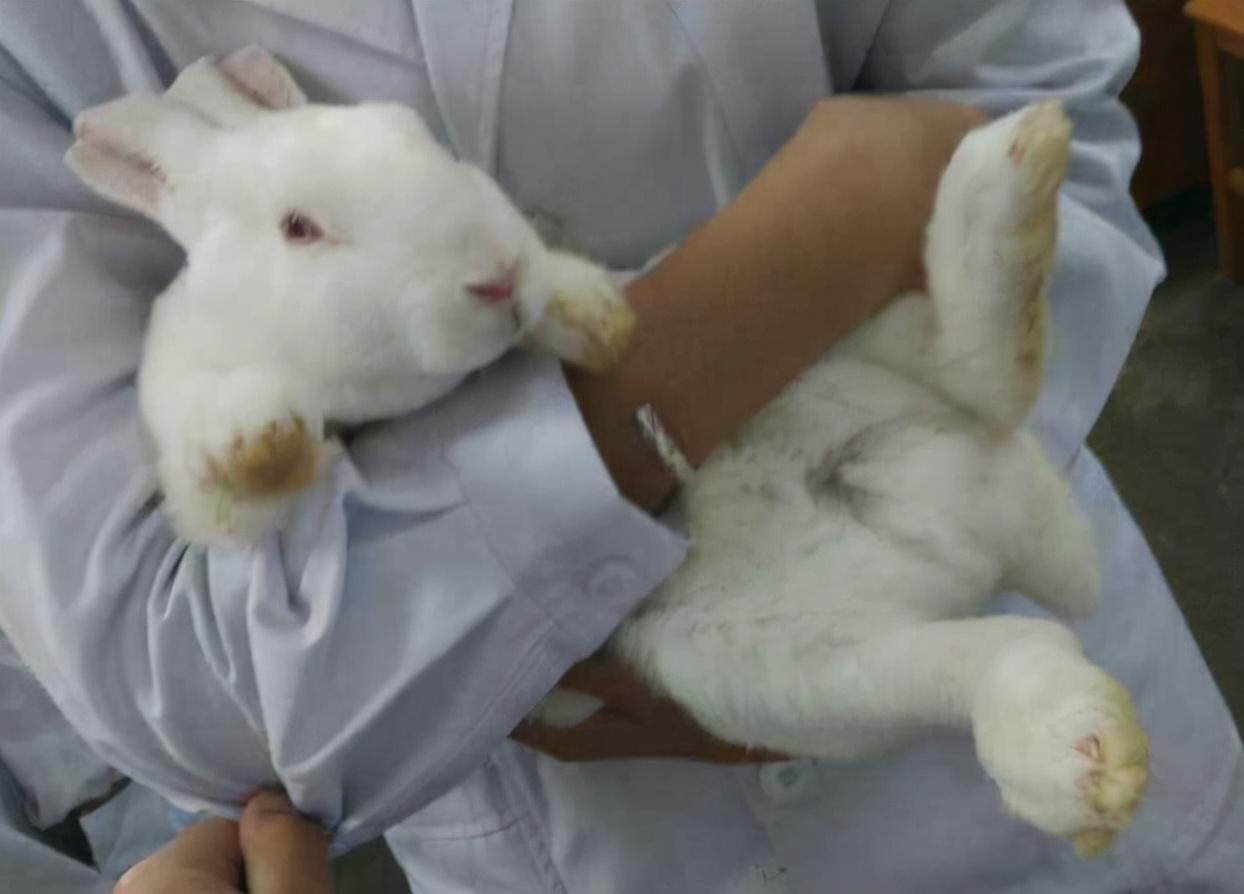 高校学生“大发善心”，将试验样本悄悄放生，发文炫耀遭怒怼