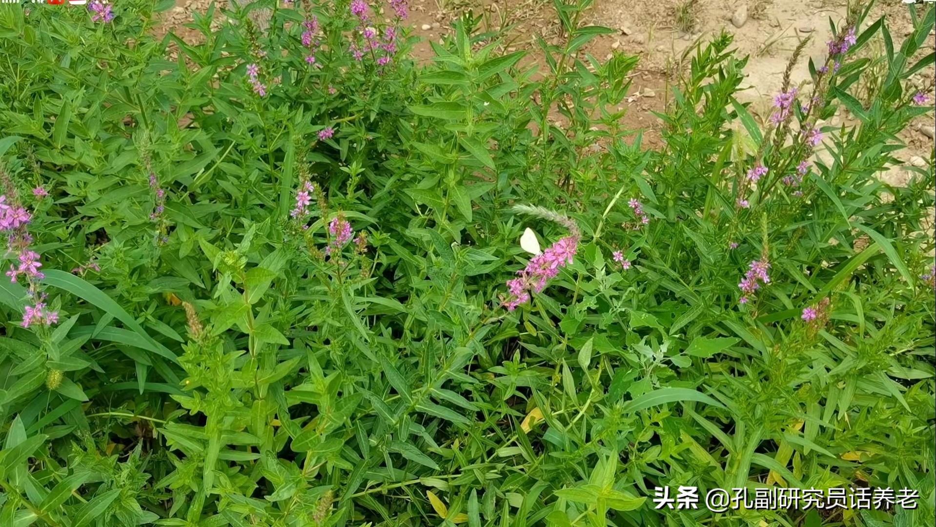 高考改变命运（3）人大博导：本科看学校 硕士看专业 博士看导师