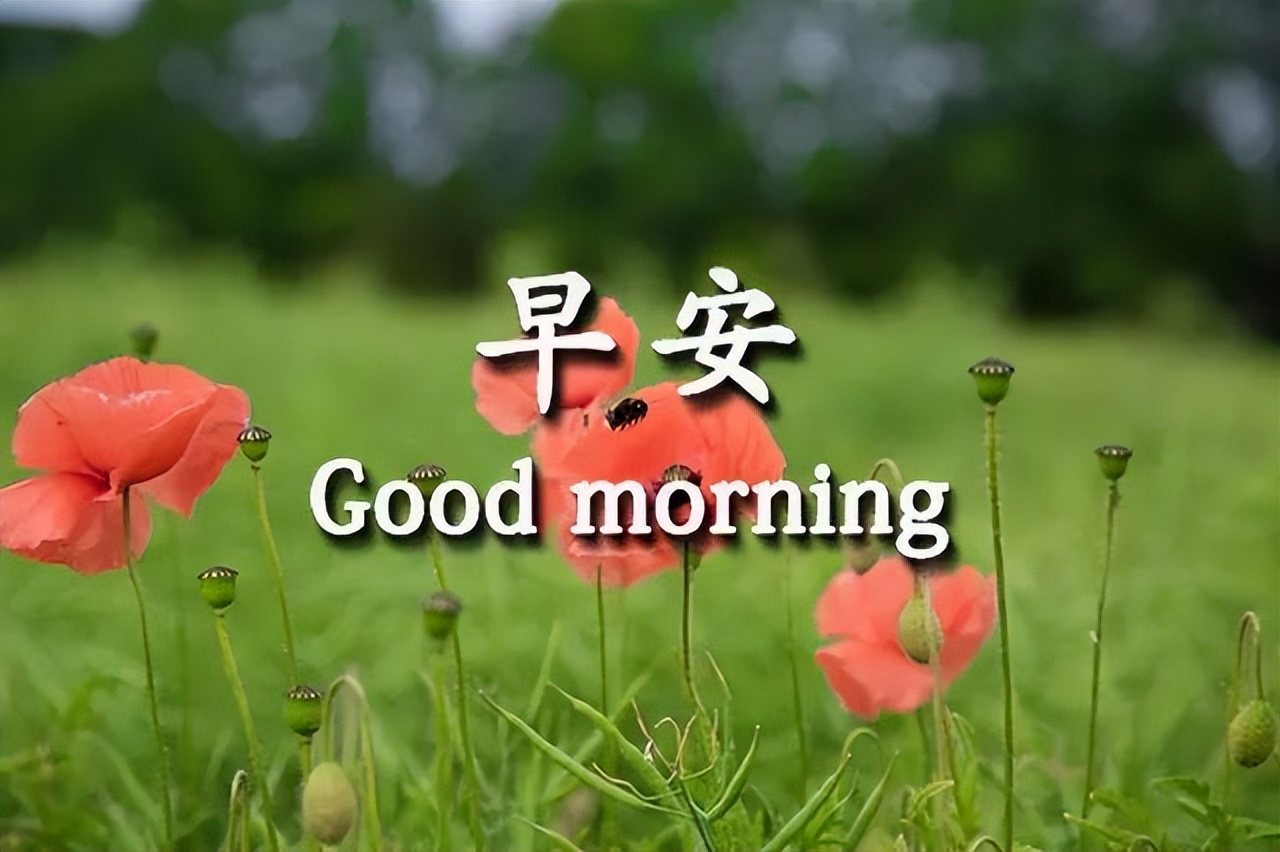 早上好表情包动图 疫情反弹 注意安全 因缘而聚 因情而暖图片
