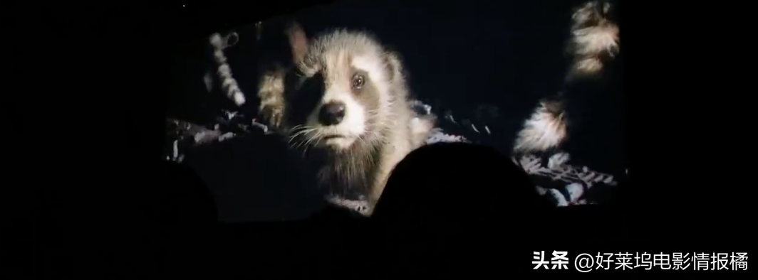 《银护3》将揭开火箭浣熊角色起源伤疤？浣熊这次可能要下线了