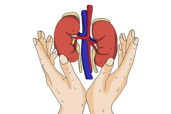 肾好的四种表现，如果有两个以上，那说明你的肾还不错