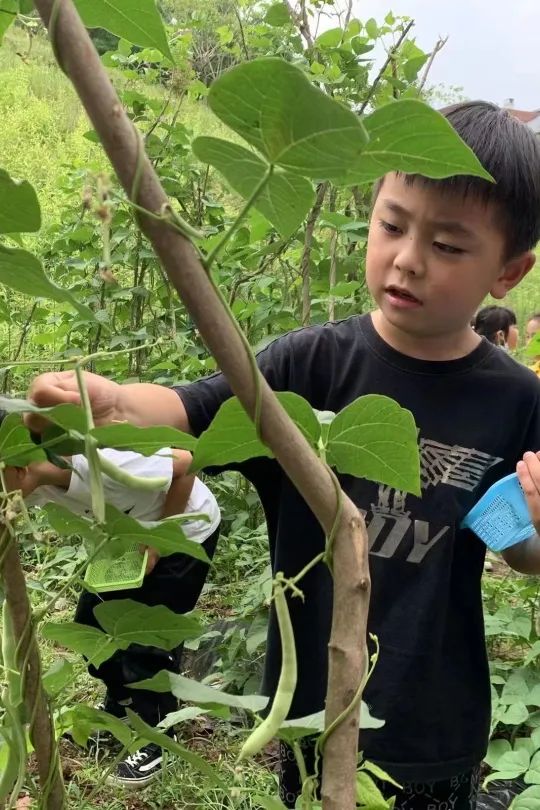 英卓恩达州园 | 种植探究式活动，让每个孩子都闪光