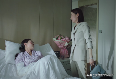 《女士的法则》：蒋律师遭家暴却不敢离婚，背后的原因不忍直视