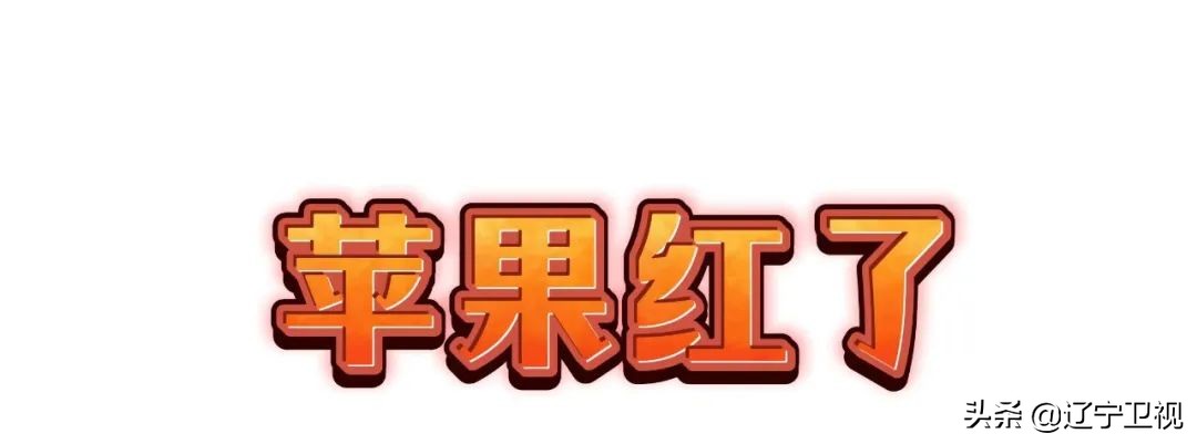 辽宁卫视新一季《欢乐饭米粒儿》第二期今晚21:10与您欢乐相约！饭米粒儿家笑声连连，趣事轮番上演