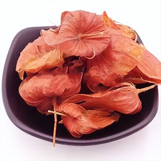 中药古今研究:灯笼草